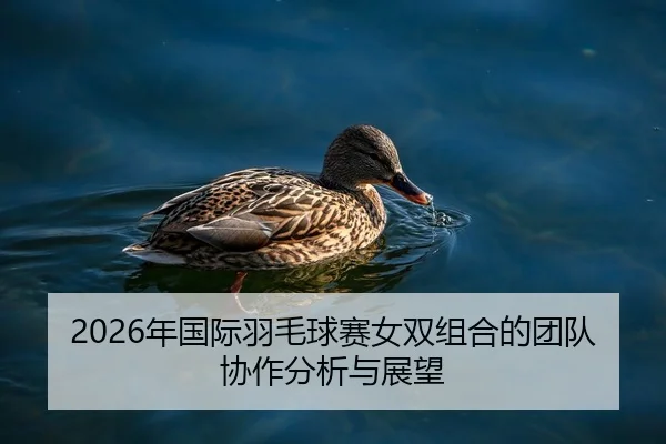 2026年国际羽毛球赛女双组合的团队协作分析与展望