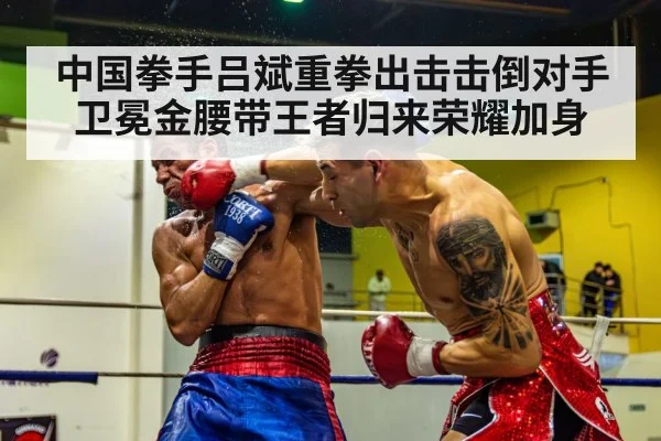 boxer knockout punch