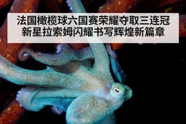 法国橄榄球六国赛荣耀夺取三连冠 新星拉索姆闪耀书写辉煌新篇章