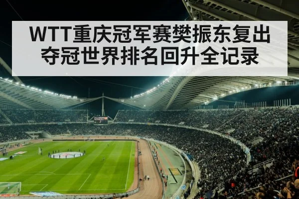 sports stadium crowd